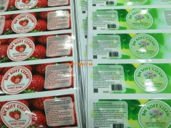 Bạn có mắc phải 4 sai lầm khi đặt in tem nhãn?