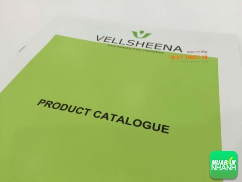 In catalogue sản phẩm cho VellSheena